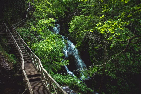 Una Toma Alto Ángulo Cascada Balbuceante Través Rocas Musgosas Cerca — Foto de Stock