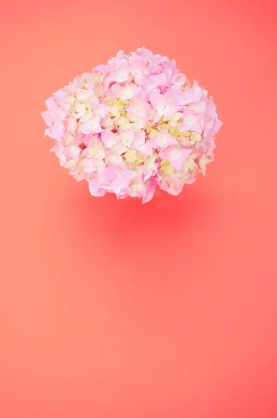Een Verticaal Shot Van Een Boeket Roze Hortensia Een Oranje — Stockfoto