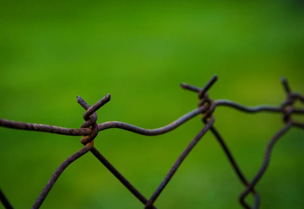 Tiro Perto Uma Cerca Feita Arame Farpado — Fotografia de Stock