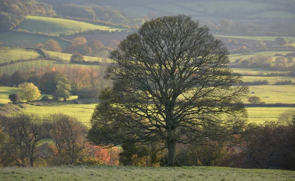 英国格洛斯特郡乡村秋色美景的高角镜头 — 图库照片