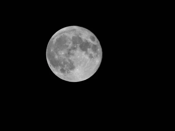在漆黑的夜空中 一轮低矮的圆月拍了下来 — 图库照片