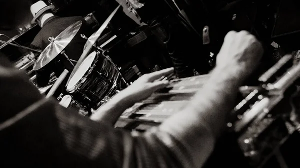 Shallow Focus Man Playing Pedal Steel Guitar Graysca — Stock Photo, Image