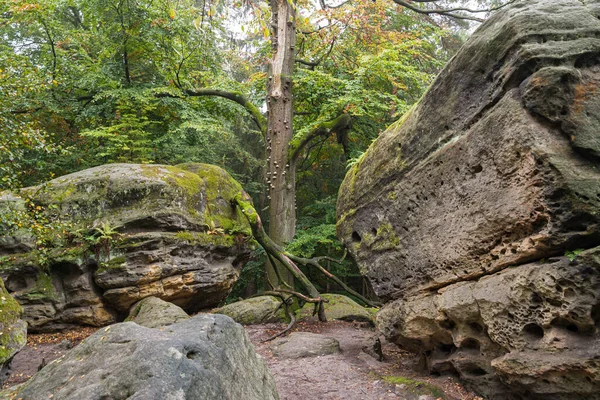 Obrovské Skály Lese — Stock fotografie