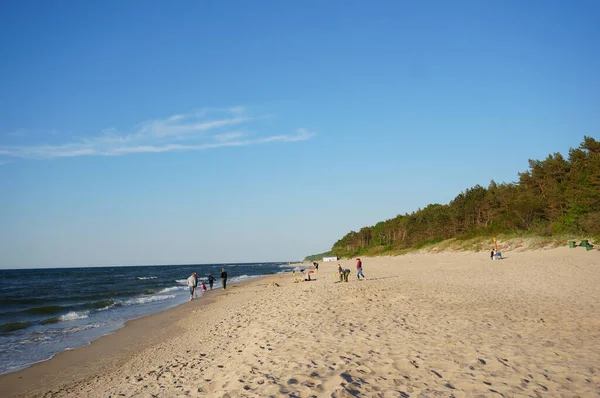 Pobierowo ポーランド 2021年6月3日 砂浜のウィット少量の人々と森 — ストック写真