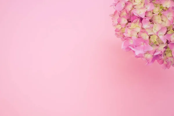 Top View Bouquet Hydrangeas Pink Background Space Text — Stok fotoğraf