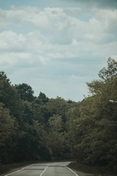 Een Lege Weg Het Platteland Omgeven Door Grote Donkere Bomen — Stockfoto