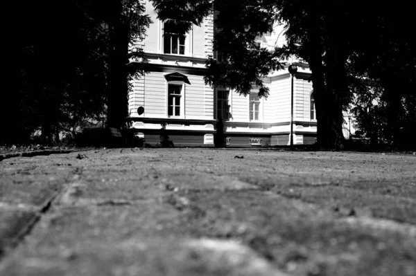 Graustufenaufnahme Eines Hauses Zwischen Bäumen Einem Garten — Stockfoto