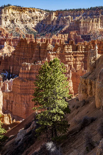 Úžasné Pískovcové Útvary Malebném Národním Parku Bryce Canyon Utah Usa — Stock fotografie