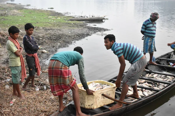 Norte Parganas India Enero 2021 Los Pescadores Indios Capturan Peces — Foto de Stock