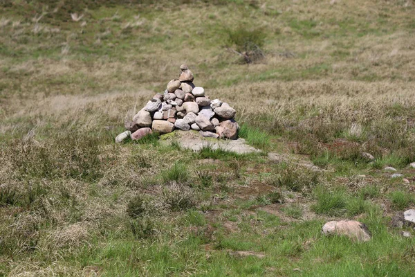 丹麦兰博尔德保护区草地上的一堆石头 — 图库照片