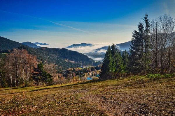 Landschap Fotografie Van Prachtig Wandelparadijs Schneeberg Met Gras Heuvels Bos — Stockfoto