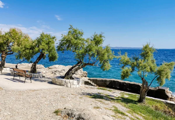 Üres Strand Zöld Fákkal Egy Napos Nyári Napon Splitben Horvátországban — Stock Fotó