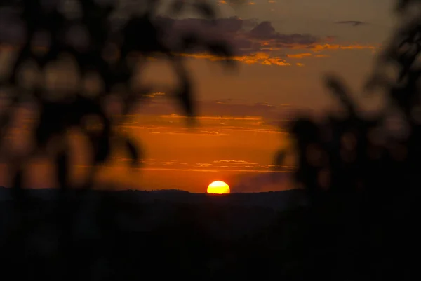 Puesta Sol Biosfera Maya Departamento Petén Guatemala Silueta Árboles Selva — Foto de Stock