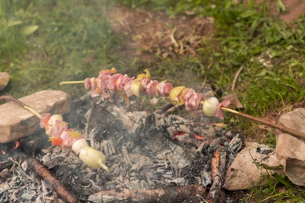 Grillen Lagerfeuer Der Natur — Stockfoto