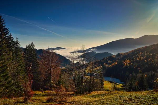 Landscape Photography Beautiful Hiking Paradise Schneeberg Grass Hills Forest Blue — Zdjęcie stockowe