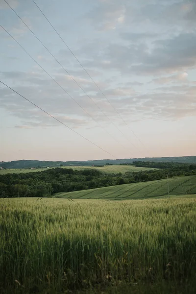 Wheat Field Countryside — Fotografia de Stock