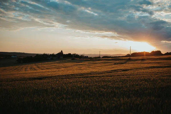 Wheat Field Countryside — Photo