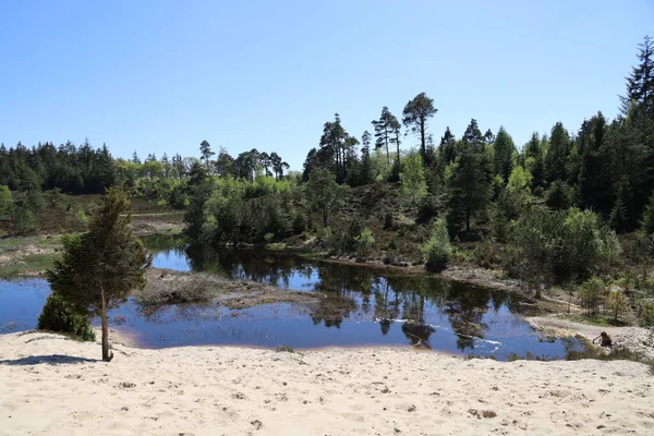 Laghi Dei Sette Anni Area Naturale Protetta Randboldal Danimarca — Foto Stock