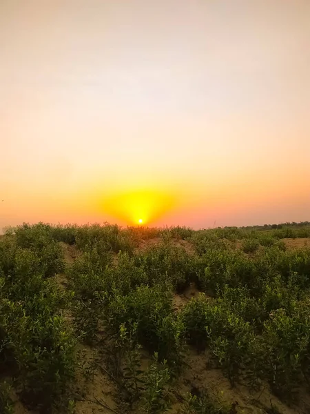 風光明媚な夕日の間に農村風景の垂直ショット — ストック写真