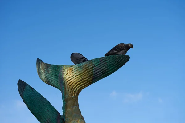 Low Angle Shot Doves Top Fish Tail Monument Clear Sky — Stock Photo, Image