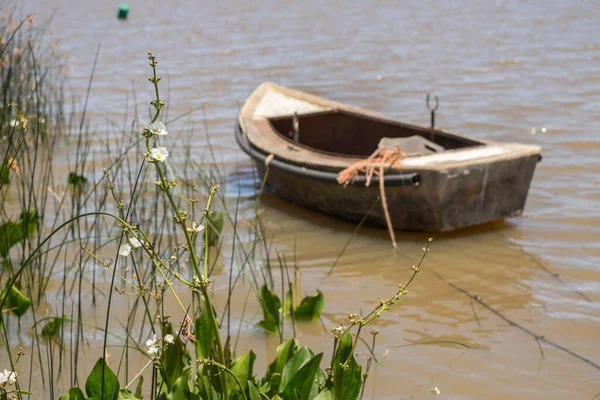 Small Leisure Boat Fisherman Juan Lacaze Harbour Colonia Uruguay — Stock Photo, Image