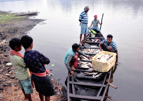 Norte Parganas India Junio 2021 Los Pescadores Indios Capturan Peces — Foto de Stock