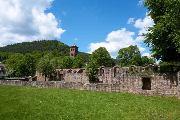 Primer Plano Del Becerro Klosterruine Hirsau Alemania —  Fotos de Stock