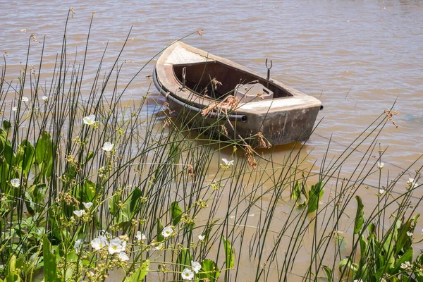 Small Leisure Boat Fisherman Juan Lacaze Harbour Colonia Uruguay — Stockfoto