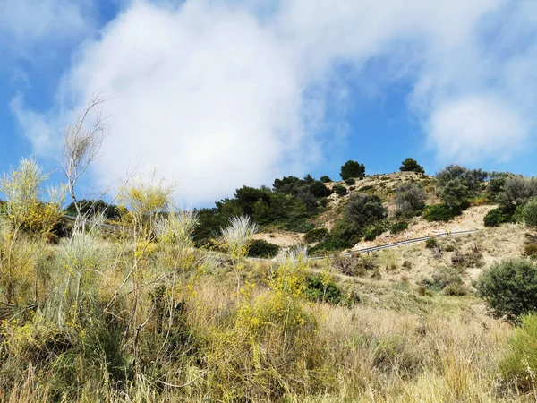Морська Скеля Вкрита Морським Кліматом Cerro Gordo Andalusia — стокове фото