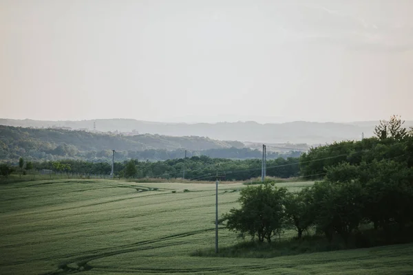 Egy Zöld Mező Vidéken — Stock Fotó