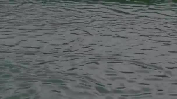 Vattendroppar Floden — Stockvideo