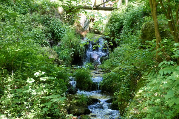 Río Que Fluye Medio Bosque Cubierto Vegetación Fresca Día Soleado — Foto de Stock