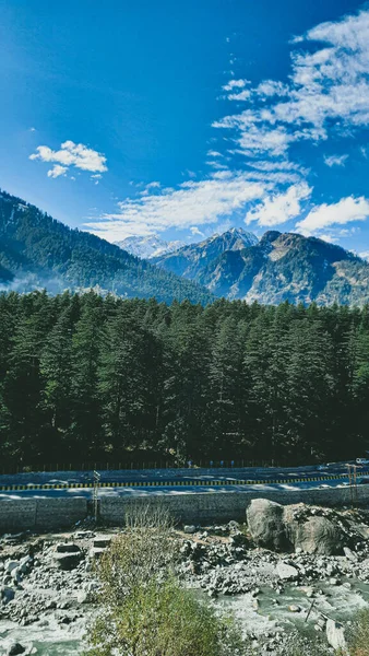 曇り空の下で針葉樹と山の垂直ショット — ストック写真