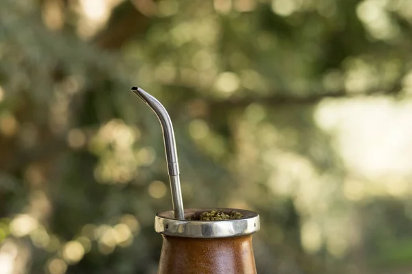 Une Boisson Infusée Riche Caféine Mate Dans Une Tasse Bois — Photo