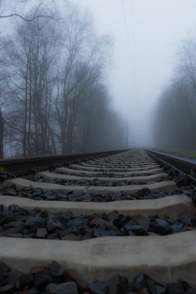 Kasvetli Sisli Bir Günde Demiryollarının Alçak Açılı Yakın Çekim Görüntüsü — Stok fotoğraf