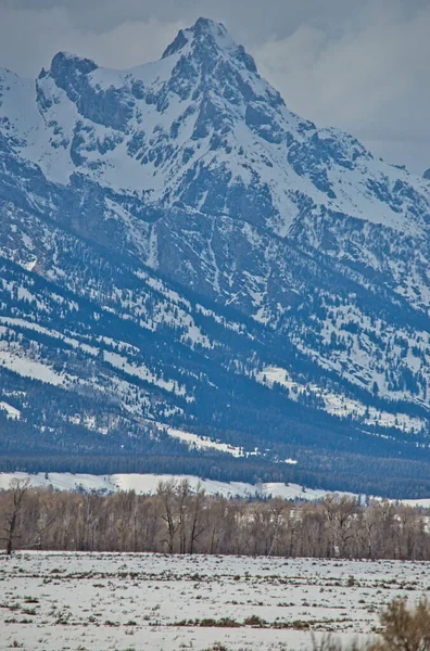 Die Atemberaubenden Schneebedeckten Berge Grand Teton National Park Nordwesten Wyomings — Stockfoto