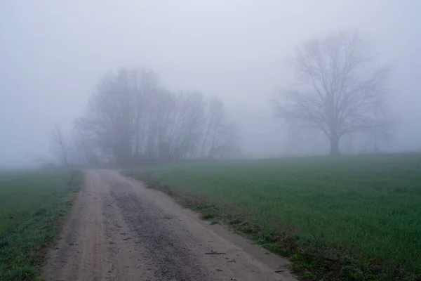 在一个多雾的日子里 道路被田野和树木环绕的美丽景象 — 图库照片