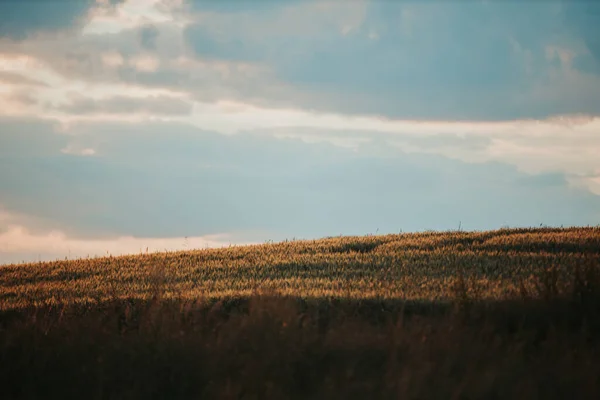 Travnatý Kopec Pokrytý Stíny Jasných Mraků Pod Slunnou Oblohou Venkově — Stock fotografie