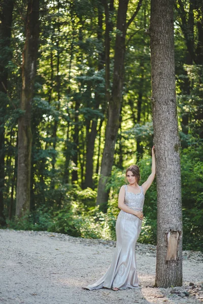 Uma Atraente Mulher Caucasiana Vestindo Elegante Vestido Prata Comprido Apoiado — Fotografia de Stock