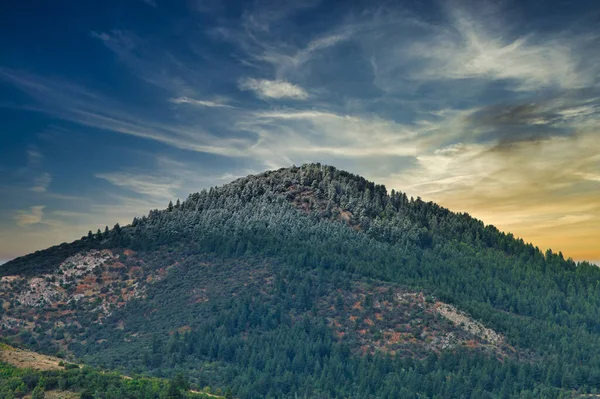 美丽的山景 夕阳西下 树木茂密 — 图库照片