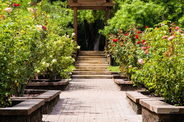 Ein Städtischer Bürgersteig Mit Blumen Und Pflanzen Auf Beiden Seiten — Stockfoto