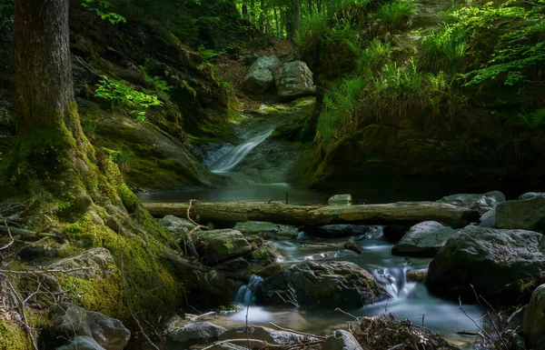 Високорівневий Знімок Пейзажу Лісом Дрібним Водоспадом — стокове фото