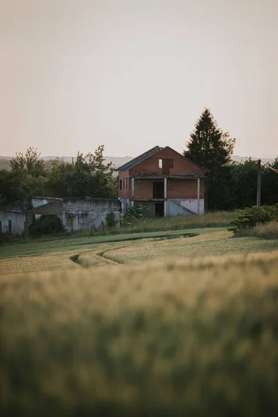 Селективный Снимок Заброшенного Дома Заросшем Поле Сельской Местности Закате — стоковое фото