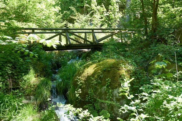 Most Nad Rzeką Płynący Środku Lasu Pokryty Świeżą Roślinnością Słoneczny — Zdjęcie stockowe