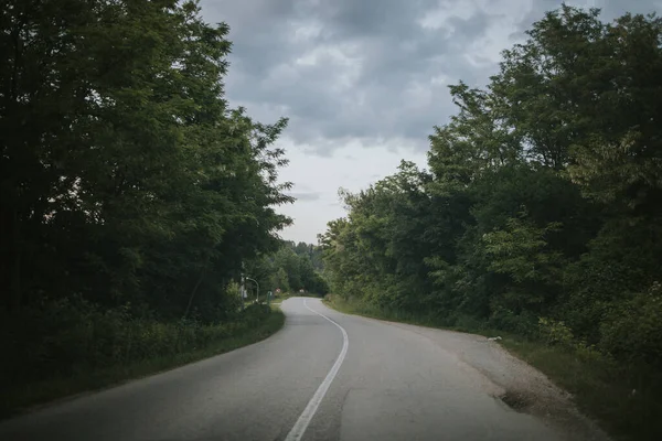 Empty Countryside Big Green Trees Either Side Cloudy Sky — Stock fotografie