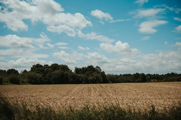 Wheat Field Countryside — Stock Photo, Image