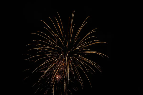 Dark Sky Colorful Firework Blast — Stock Photo, Image