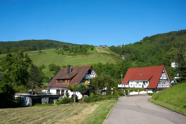 Een Prachtig Shot Van Residentiële Landhuizen Achtergrond Van Bergen Blauwe — Stockfoto