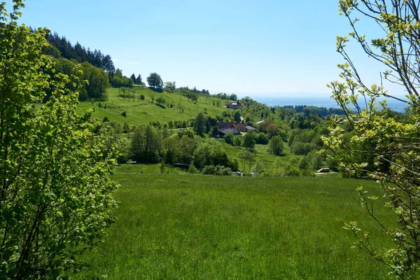 Hermoso Plano Una Tierra Montañosa Cubierta Vegetación Verde Fresca Bajo —  Fotos de Stock