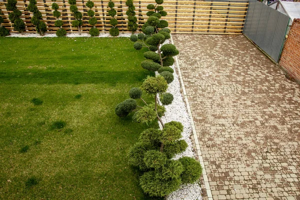 Una Vista Jardín Verde Con Árboles Decorativos Camino Ladrillo — Foto de Stock